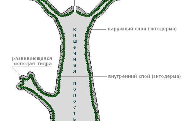 Kraken 17at сайт