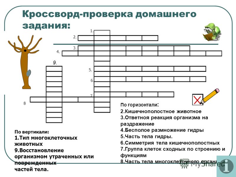 Кракен маркетплейс в москве